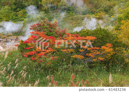 十和田八man平國家公園八man平 61483236