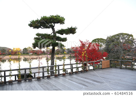 View of Osawa Pond from the wide border View of Osawa Pond from the wide border 61484516