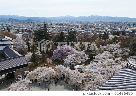 Fukushima / View of Tsuruga Castle from the castle tower in full bloom Fukushima / View of Tsuruga Castle from the castle tower in full bloom 61486490