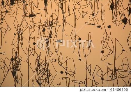 Pattern of winter pond 61486596