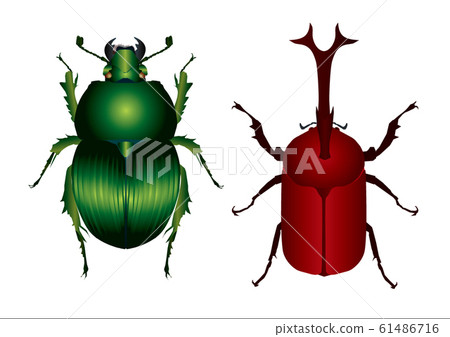 巨型甲蟲和甲蟲 61486716
