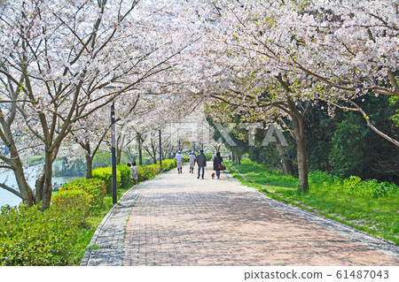 福岡縣中央公園 61487043