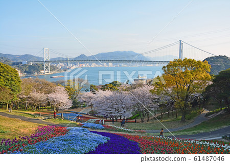 Fire Mountain Park Turkish Tulip Garden 61487046