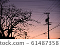 Winter dusk 61487358