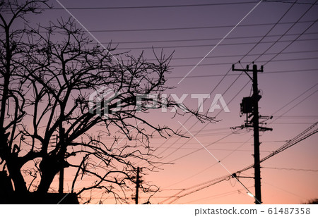 Winter dusk Winter dusk 61487358