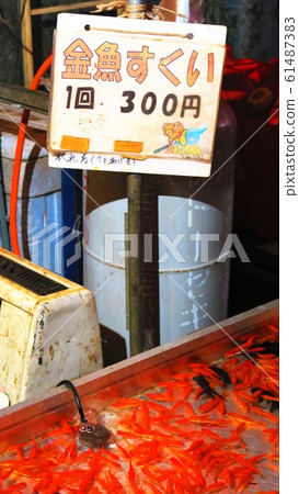 金魚瓢攤位風景 照片素材 圖片 圖庫