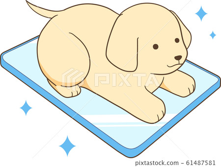 金毛小狗(酷表) 金毛小狗(酷表) 61487581