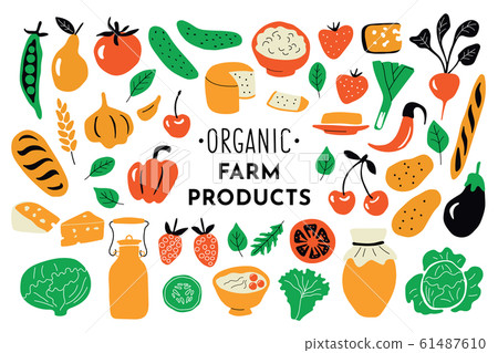 Healthy food, organic products set. Funny doodle vector illustration. Farm market collection. Healthy food, organic products set. Funny doodle vector illustration. Farm market collection. 61487610