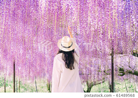 Wisteria flowers and women Wisteria flowers and women 61489568