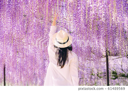 紫藤花和婦女 61489569