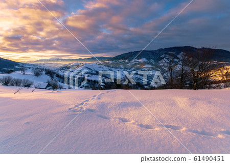 mountainous countryside in winter at dawn 61490451