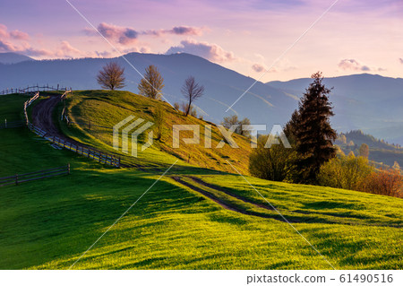 mountainous rural landscape in evening light mountainous rural landscape in evening light 61490516