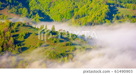 mountainous countryside in the morning mountainous countryside in the morning 61490903