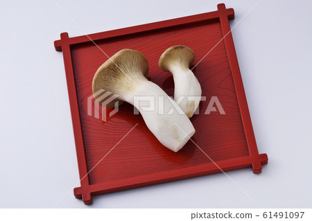 蘑菇 蘑菇 61491097