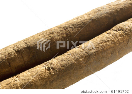 Burdock With Burdock Burdock Burdock With Burdock Burdock 61491702