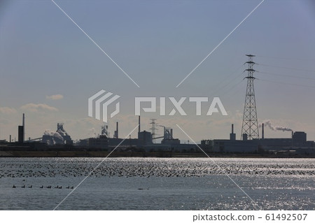 Migratory birds Migratory birds 61492507