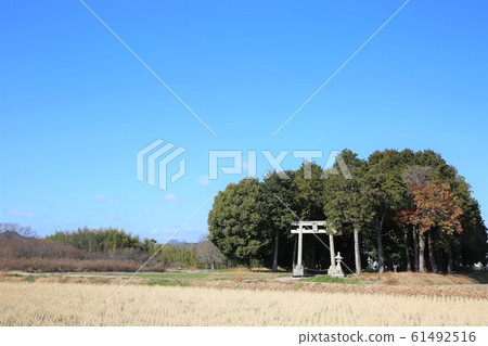 神社 神社 61492516