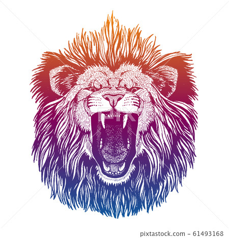 Hipster lion vector illustration. Mascot. Portrait of wild animal for logo, emblem. Hipster lion vector illustration. Mascot. Portrait of wild animal for logo, emblem. 61493168