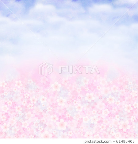 櫻花盛開藍天櫻花染井吉野遙 61493403