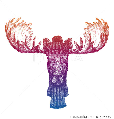 Moose, elk. Ski, skier animal wearing woolen knitted hat. Christmas time. Cartoon character for little children. Kids print for shirts. Nursery decor. 61493539
