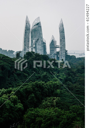 Beautiful green forest with a view of skyscrapers in the distance, view from Henderson Waves Bridge..Singapore cityscape from The Southern Ridges..Giant building behind the forest Beautiful green forest with a view of skyscrapers in the distance, view from Henderson Waves Bridge..Singapore cityscape from The Southern Ridges..Giant building behind the forest 61494227