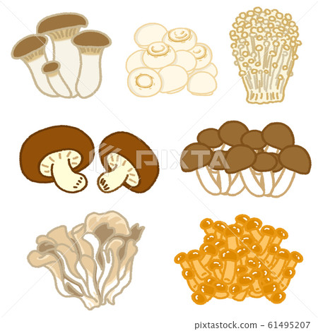 Chinese mushrooms, Enoki,Hon-shimeji and Shitake isolated on a