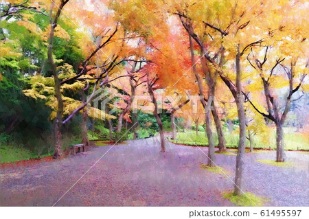 秋天的森林在小石川後樂園。陰雨天氣（12月），東京文京區 61495597