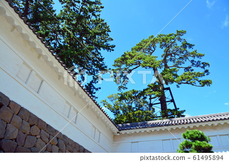 Beautiful pure white Odawara Castle 61495894