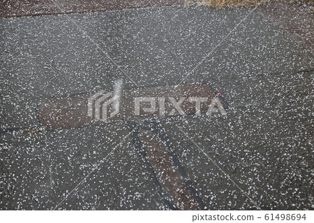 大雹(雹) 大雹(雹) 61498694