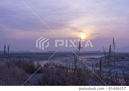 Siheung Tidal-Ecological Park, Siheung City, Gyeonggi-do 61499257