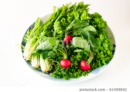 Winter vegetables Winter vegetables 61499692