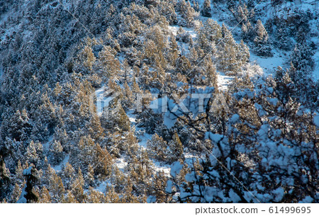 Winter in the mountains in unbreaked weather Winter in the mountains in unbreaked weather 61499695