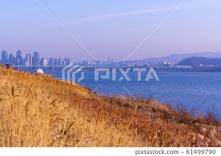 首爾龍山區漢江市民公園 61499790