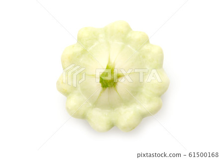 盤式西葫蘆 61500168