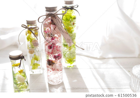 植物標本室 61500536