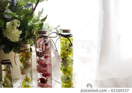植物標本室 61500537