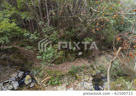 Folding screen rock (Akechi return rock) Kameoka city, Kyoto Folding screen rock (Akechi return rock) Kameoka city, Kyoto 61500713