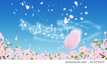 Cherry blossoms (background material) 61503447