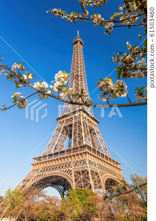 Eiffel Tower during spring time in Paris, France Eiffel Tower during spring time in Paris, France 61503460