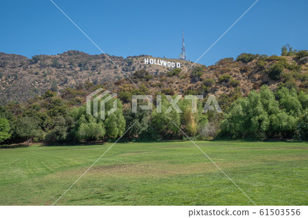green meadow in front of a hill with hollywood letters made for tourists taking pictures of the symbol of America 61503556