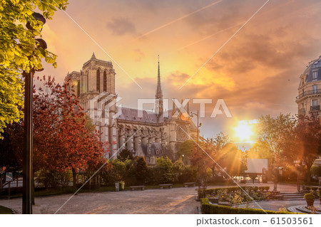 Paris, Notre Dame cathedral with spring trees in France 61503561