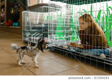 Little Girl Sitting In Big Cage Pet Store Stock Photo 61504281 Pixta