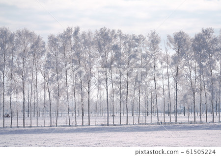  Foggy ice 61505224