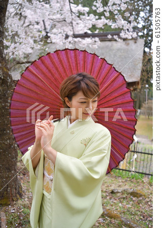 和服女,日本人,賞櫻女,半身 和服女,日本人,賞櫻女,半身 61505763