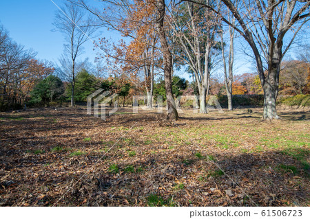 nk玉縣立嵐山歷史古蹟杉谷建築遺址本館附近 61506723