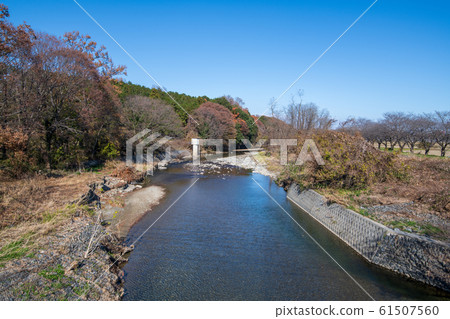 宮古川八man橋的風景 61507560