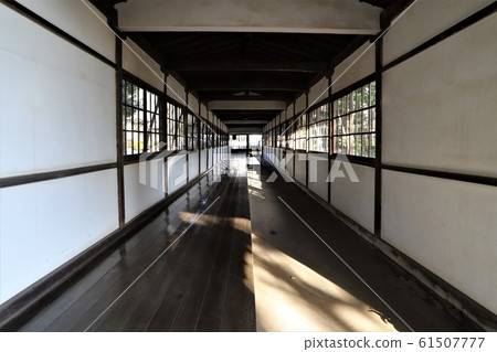 oji路寺百草走廊 oji路寺百草走廊 61507777
