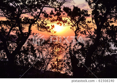 <A美大島> Yairi Pass 10的晨景 61508140