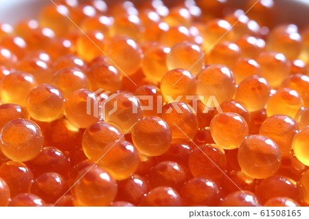  鮭魚子 61508165