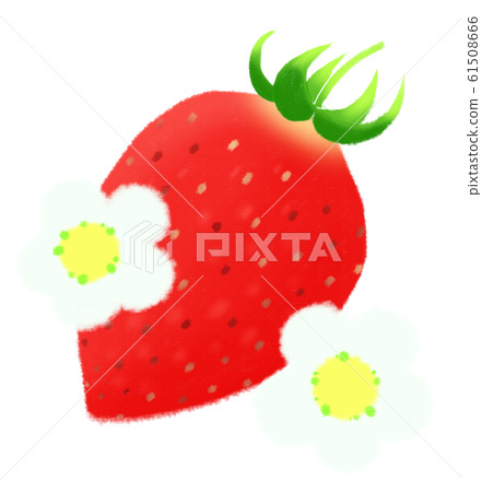 Strawberry  61508666